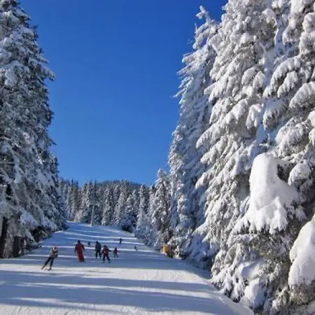 Gardens Raya 3* Boroveț