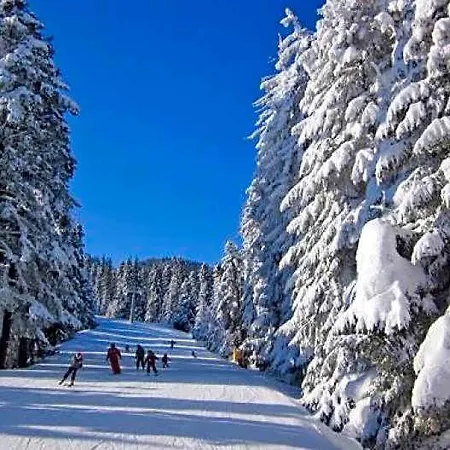 Gardens Raya Boroveț