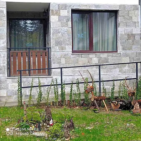 Gardens Raya Boroveț
