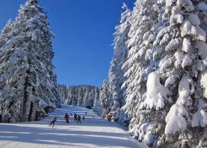 Gardens Raya 3* Borowec